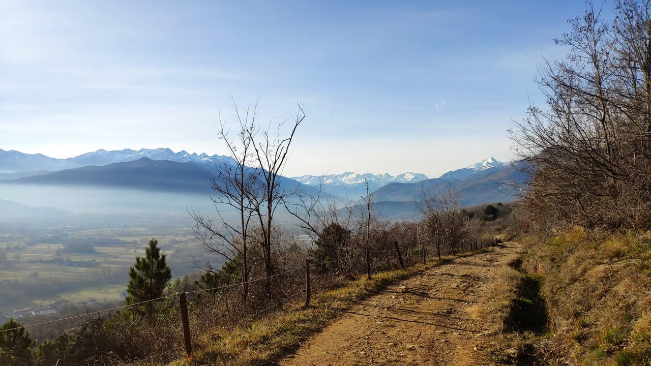 San Bernardino-Tagliafuoco con Daniela (MTB)