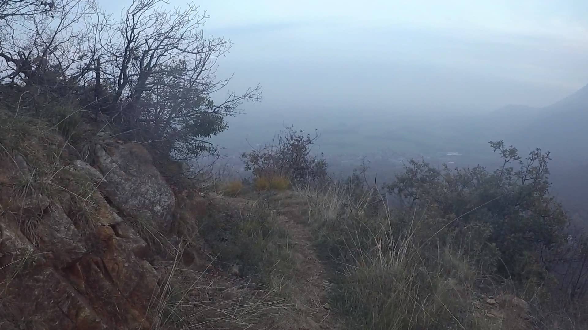 De Vitis Da San Bernardino di Trana